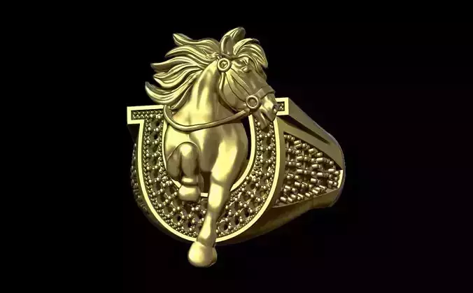 Horse ring