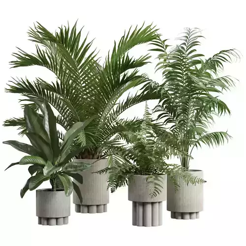Indoor Plants Pack 76