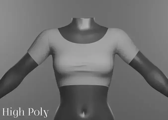 Womens Cropped T Shirt 3D Model