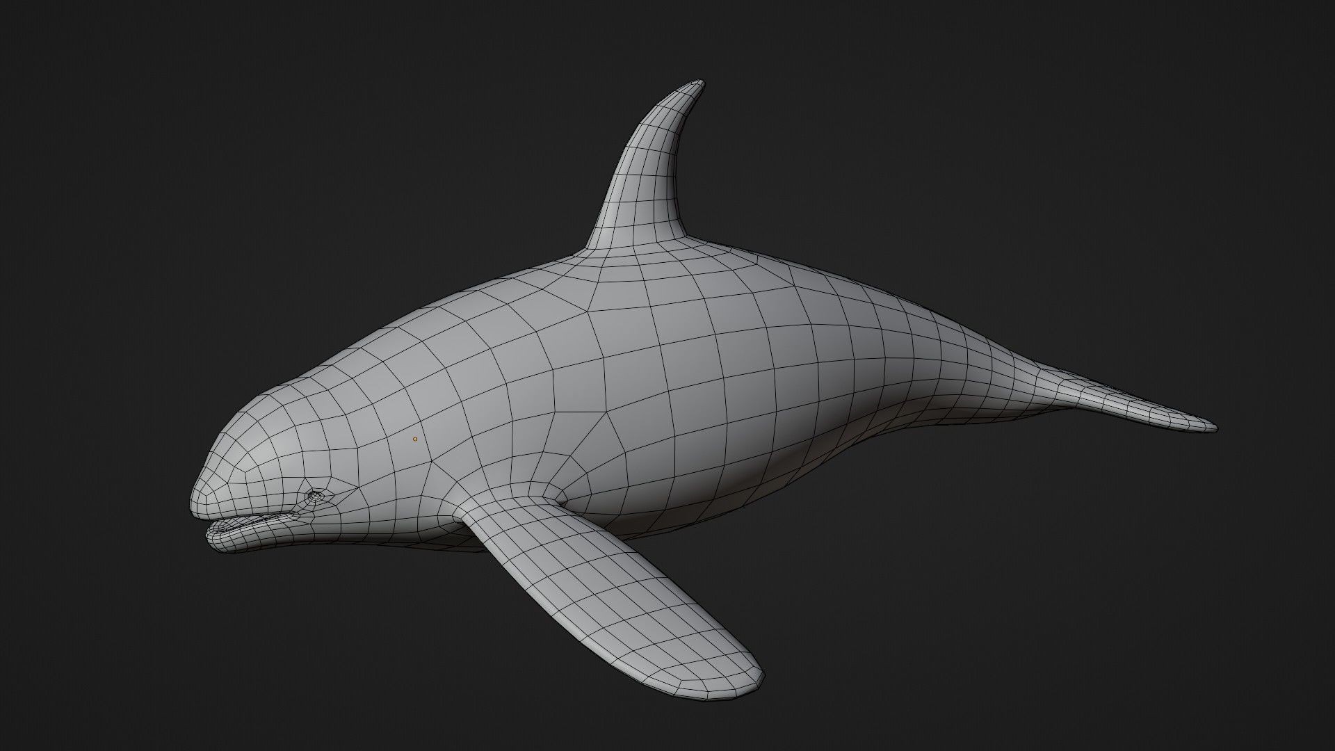 Killer Whale Orca - Rigged Free low-poly 3D model_7