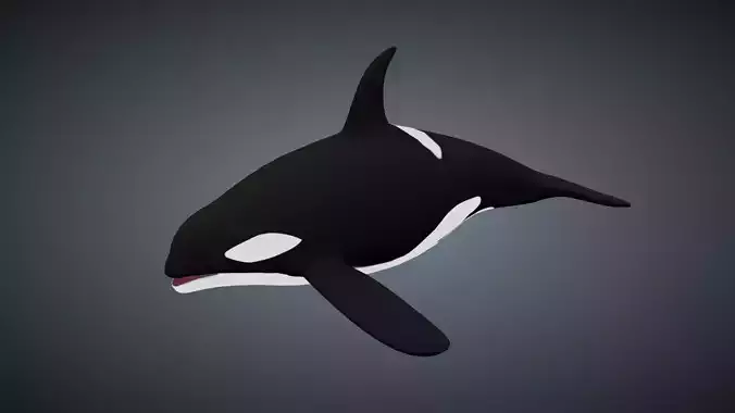 Killer Whale Orca - Rigged
