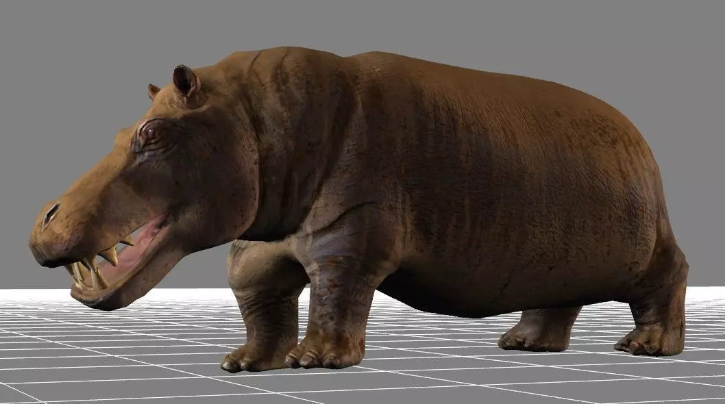 African Wildlife 3D Hippo Base Mesh Free low-poly 3D model_0
