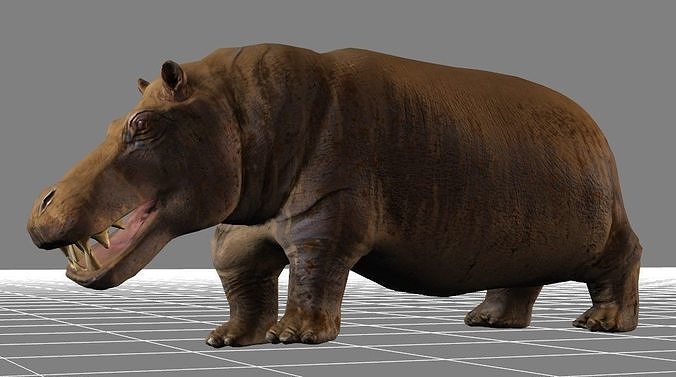 African Wildlife 3D Hippo Base Mesh Low-poly 3D model