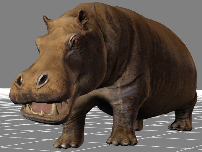 African Wildlife 3D Hippo Base Mesh Free low-poly 3D model_3
