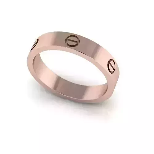 Bolt ring Model 6124