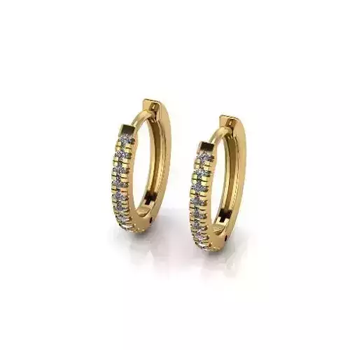 Earrings Model 6116