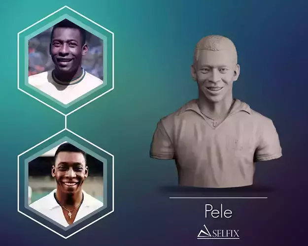 Pele Bust 3D print model