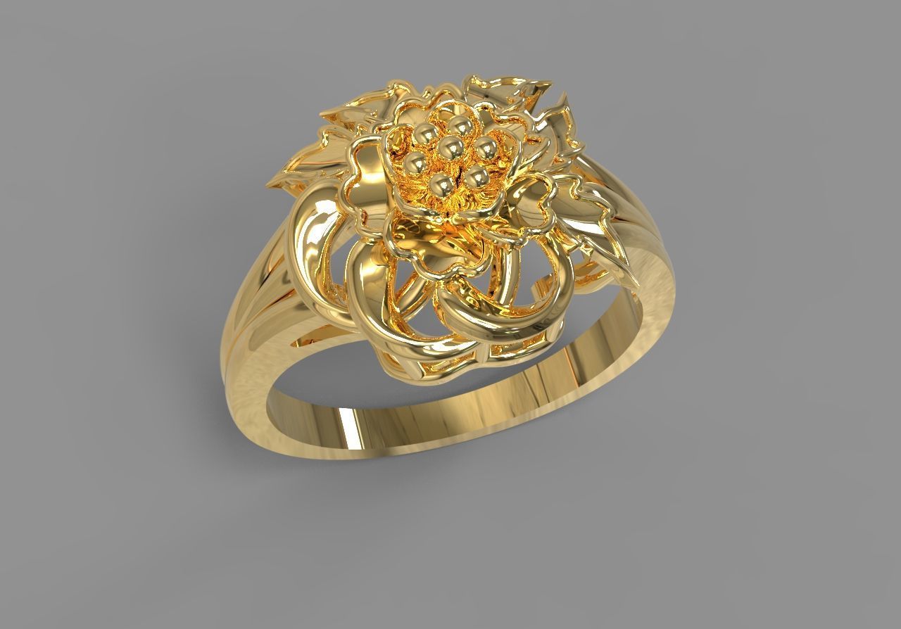 COMBO 15 24K RINGS 3D 3D print model_11