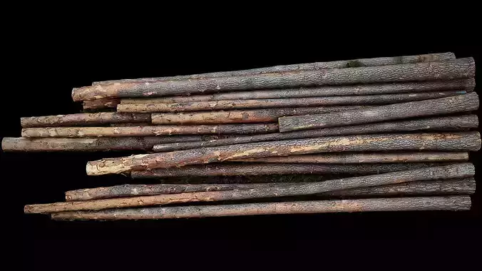 woodlogs cutted trees forrest pt1 photogrammetry 