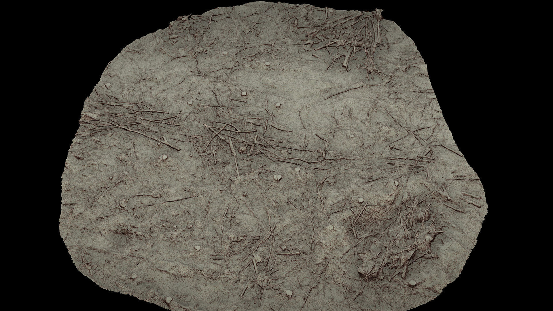 forrest ground cutted trees patch part2 photogrammetry Low-poly 3D model_3