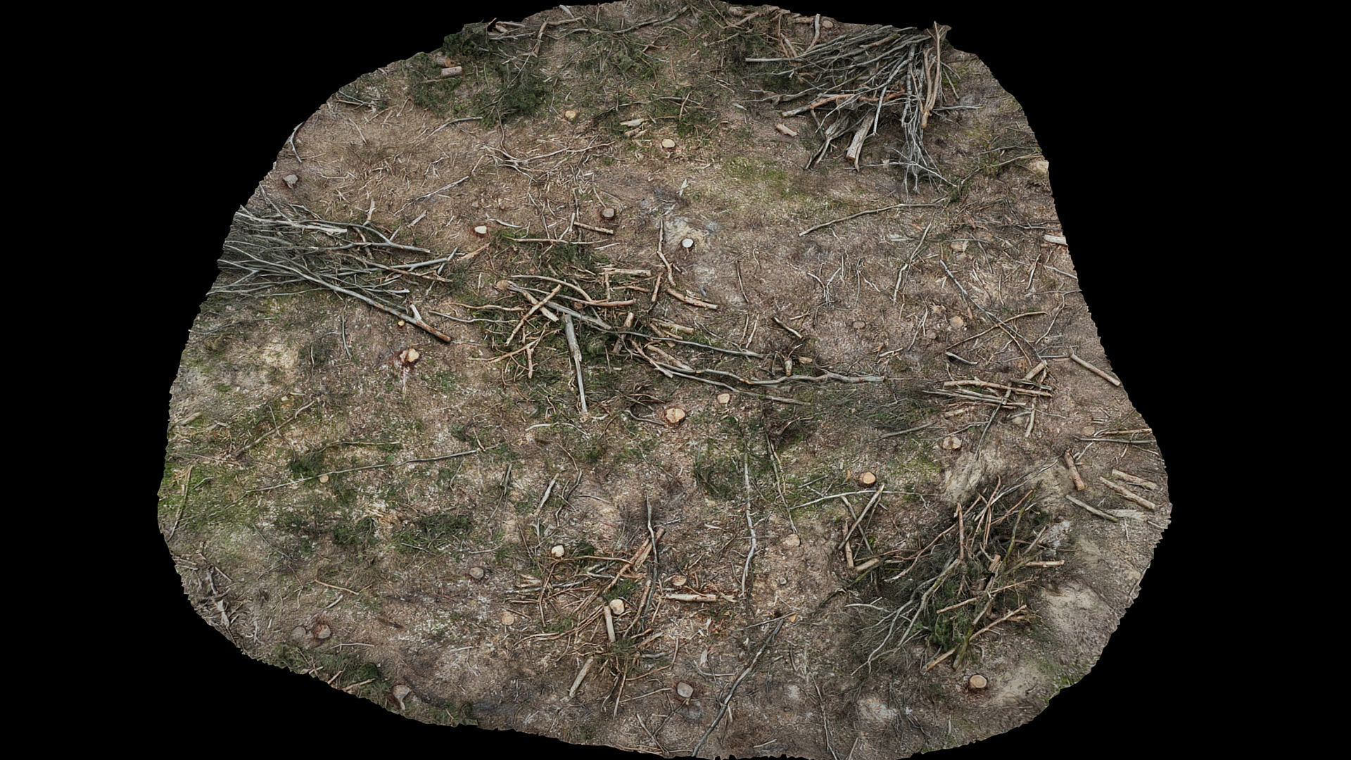 forrest ground cutted trees patch part2 photogrammetry Low-poly 3D model_2