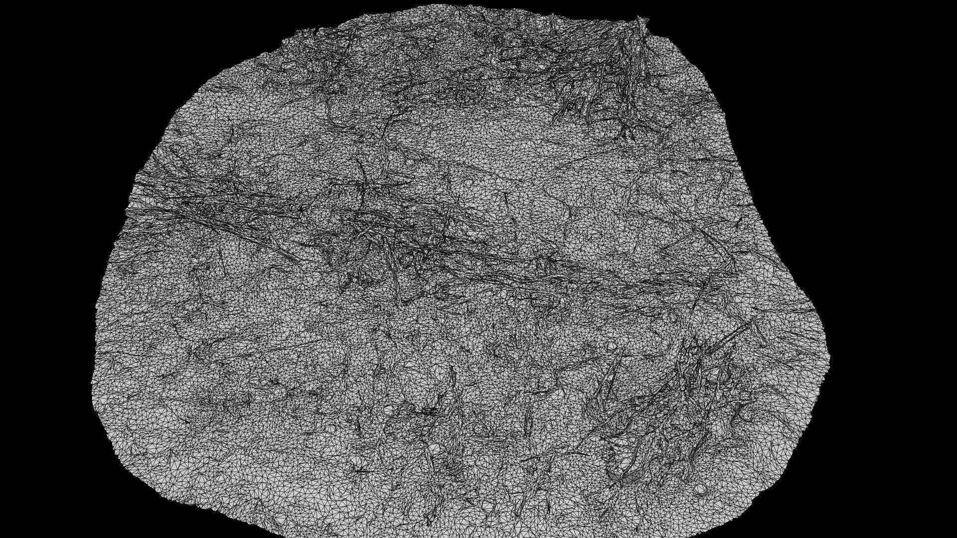 forrest ground cutted trees patch part2 photogrammetry Low-poly 3D model_4