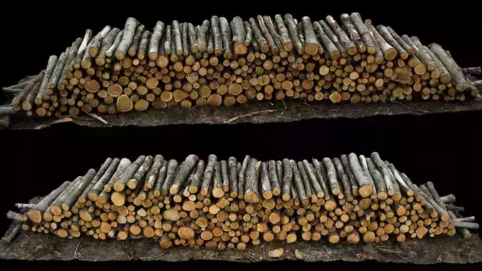 woodlogs pile cutted trees forrest part2 photogrammetry