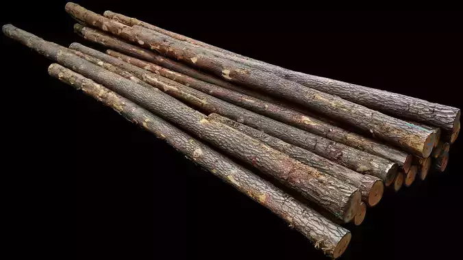 woodlogs pile cutted trees forest part3 photogrammetry