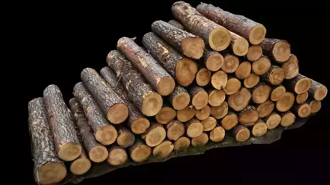 woodlogs pile cutted trees forest part4 photogrammetry Low-poly 3D model