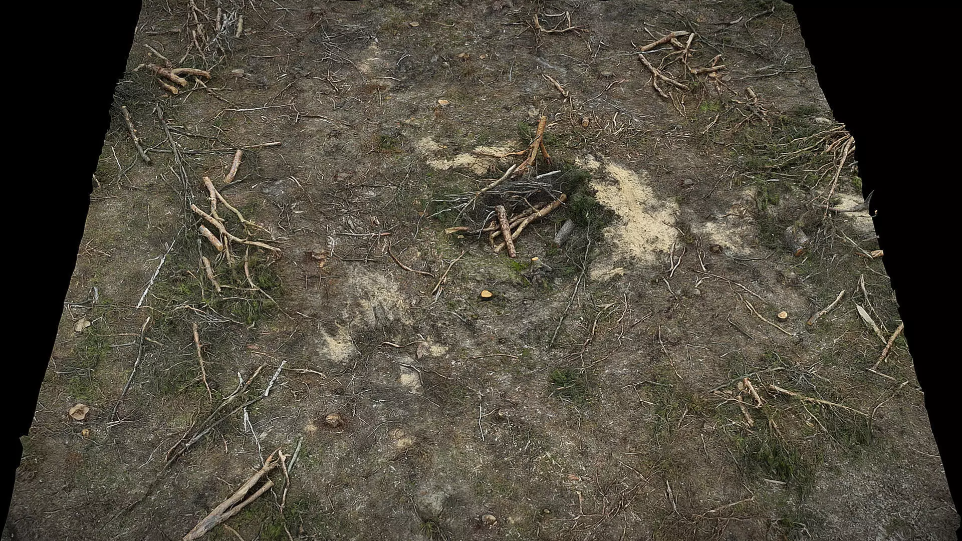 forest ground cutted tree branches photogrammetry Low-poly 3D model