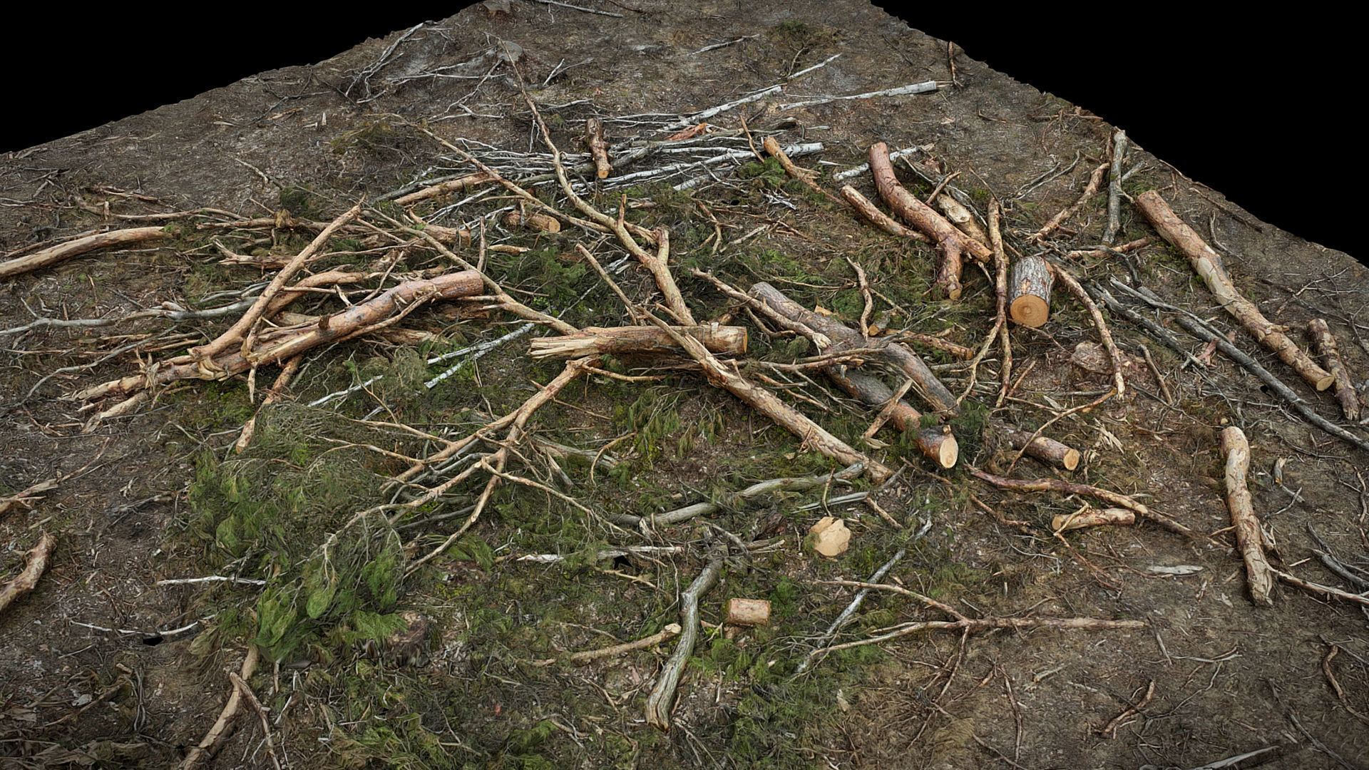 forest ground broken trees branches pile photogrammetry Low-poly 3D model_3