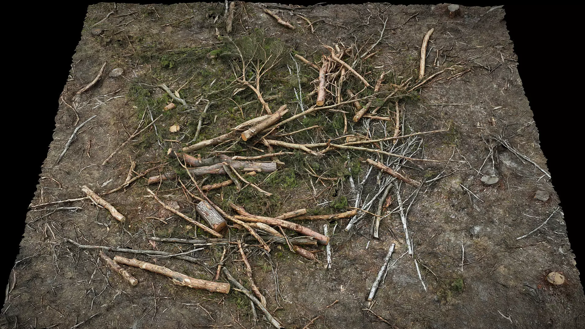 forest ground broken trees branches pile photogrammetry Low-poly 3D model_0
