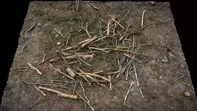 forest ground broken trees branches pile photogrammetry
