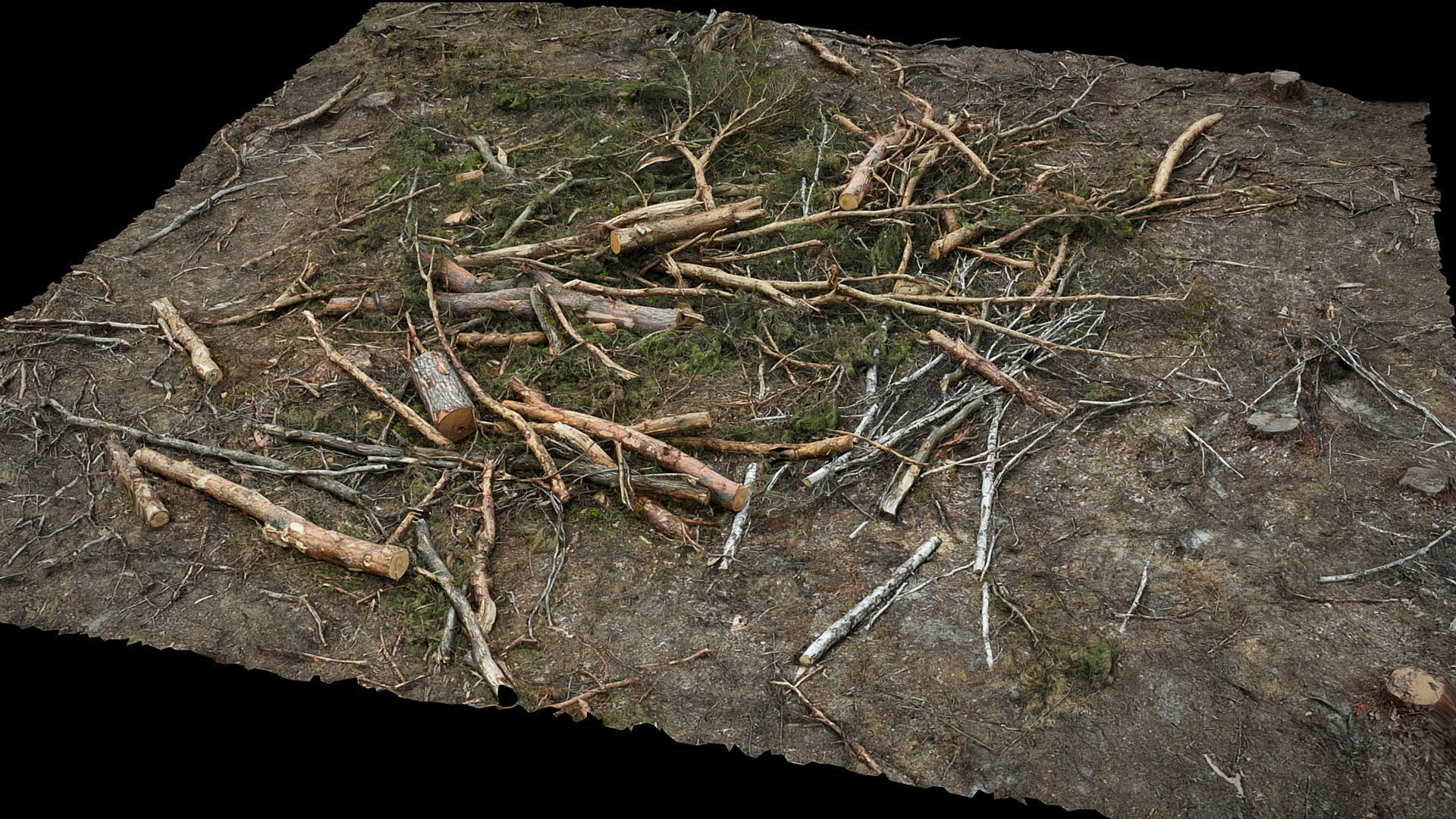 forest ground broken trees branches pile photogrammetry Low-poly 3D model_2