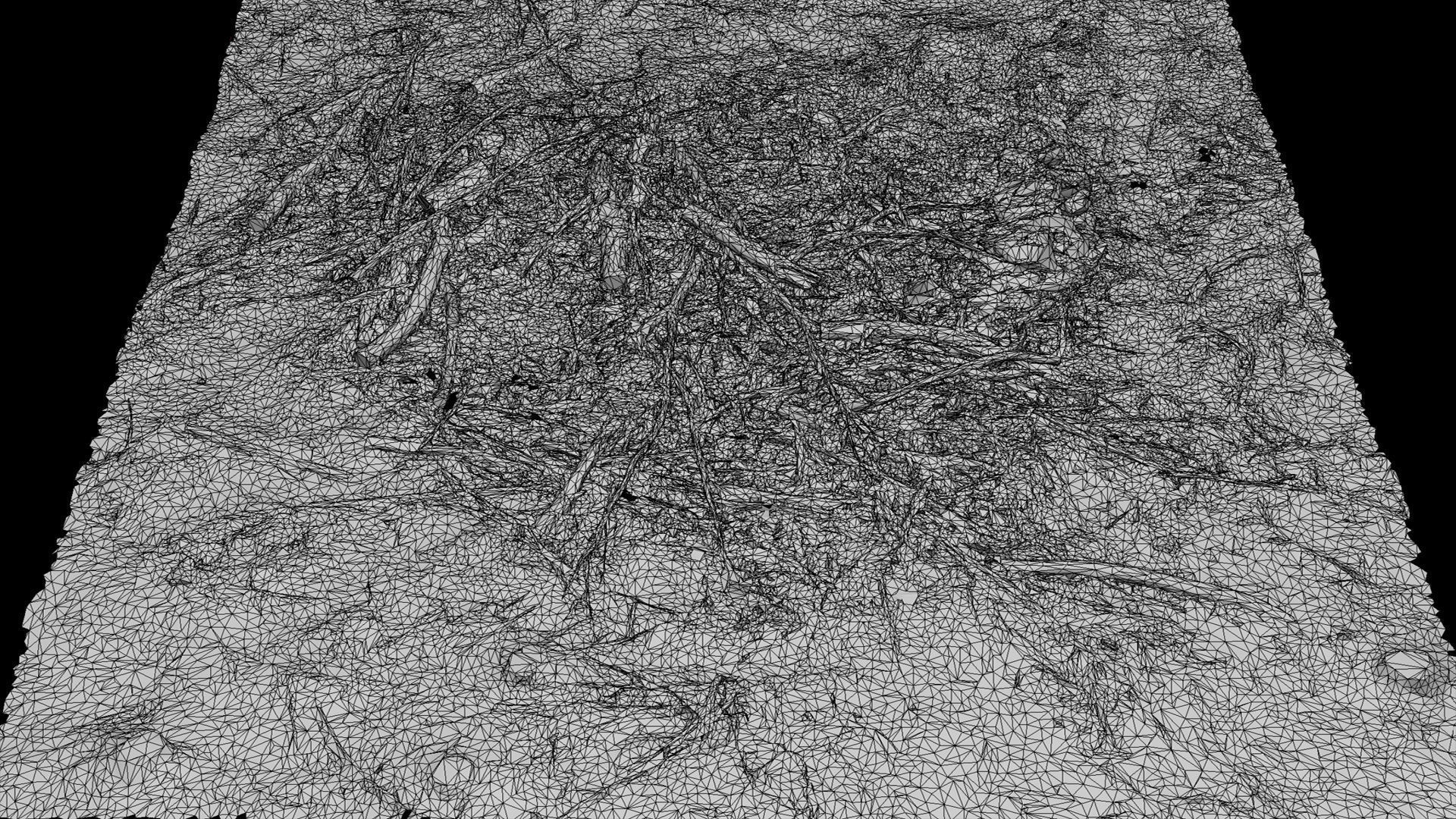 forest ground broken trees branches pile photogrammetry Low-poly 3D model_5