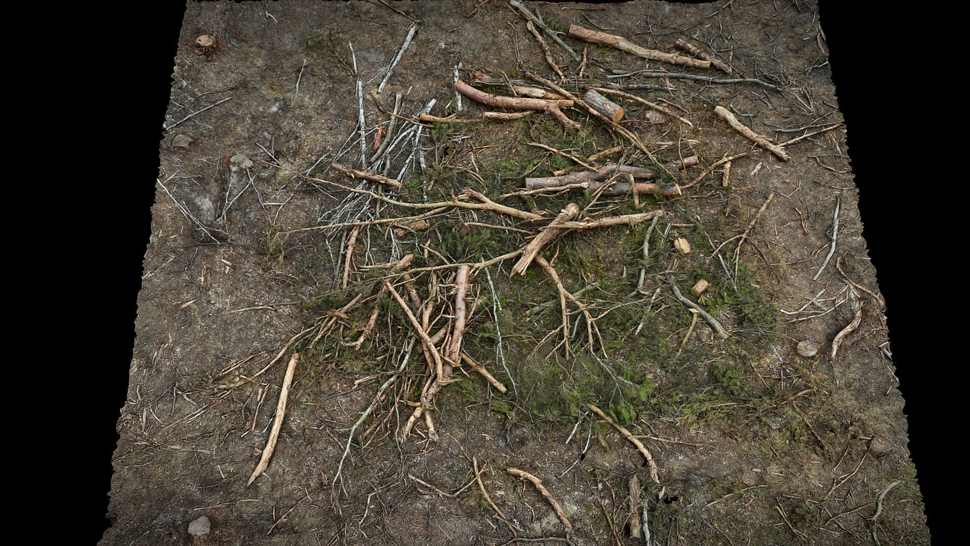 forest ground broken trees branches pile photogrammetry Low-poly 3D model_1