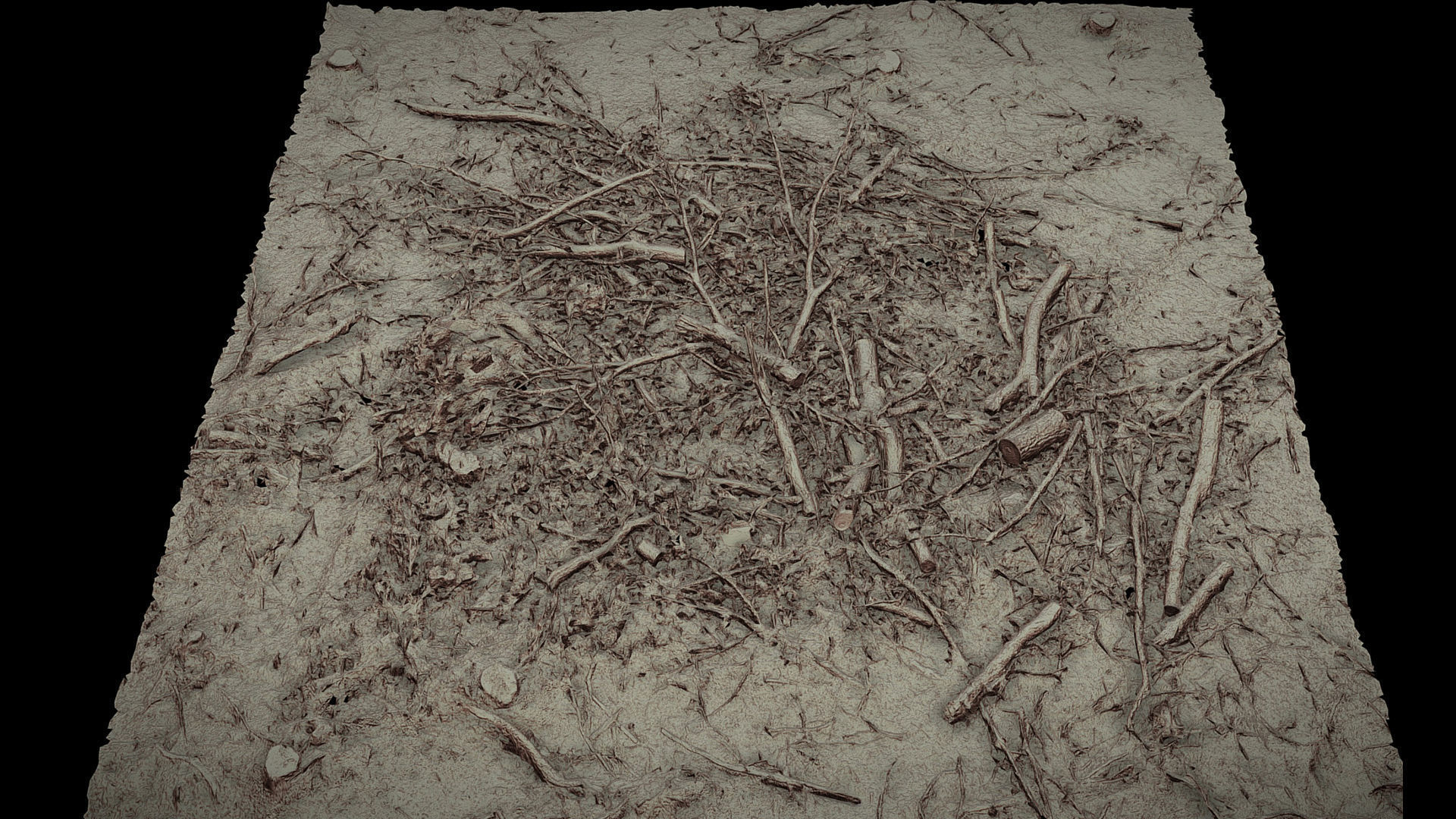 forest ground broken trees branches pile photogrammetry Low-poly 3D model_4