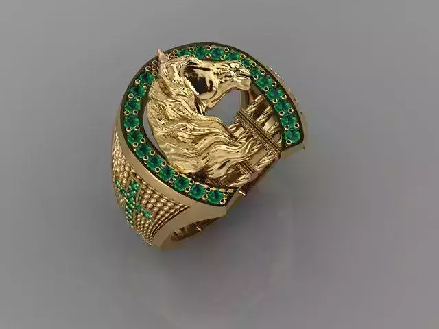 Horse Ring