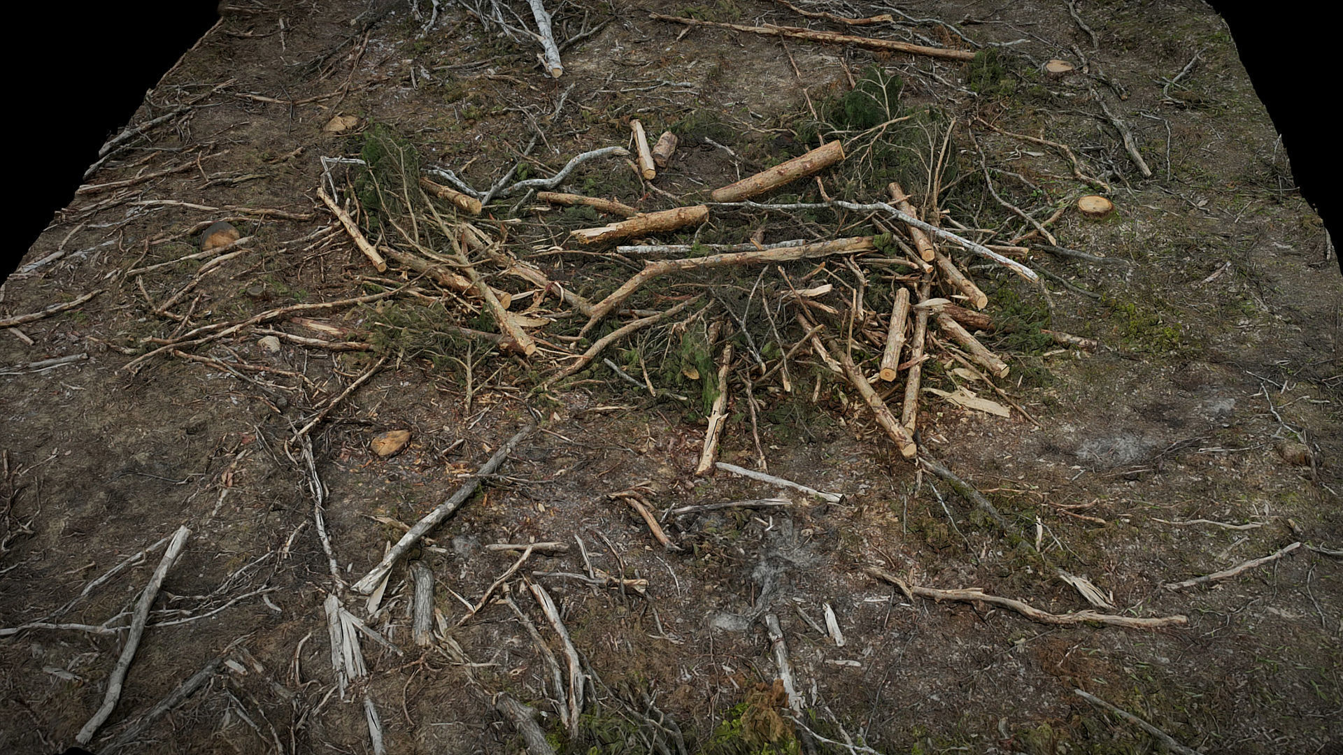 forest ground wood debris branches photogrammetry Low-poly 3D model_1