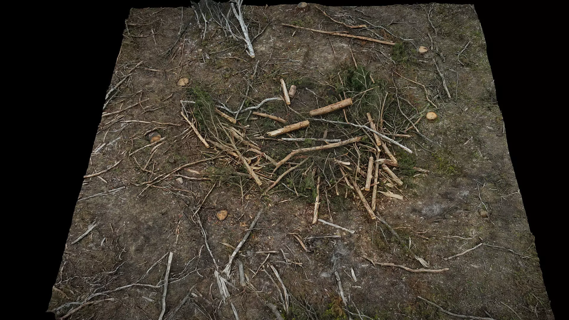 forest ground wood debris branches photogrammetry Low-poly 3D model_0