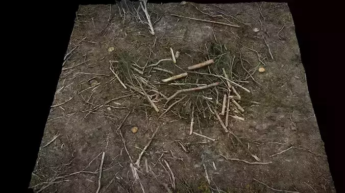 forest ground wood debris branches photogrammetry