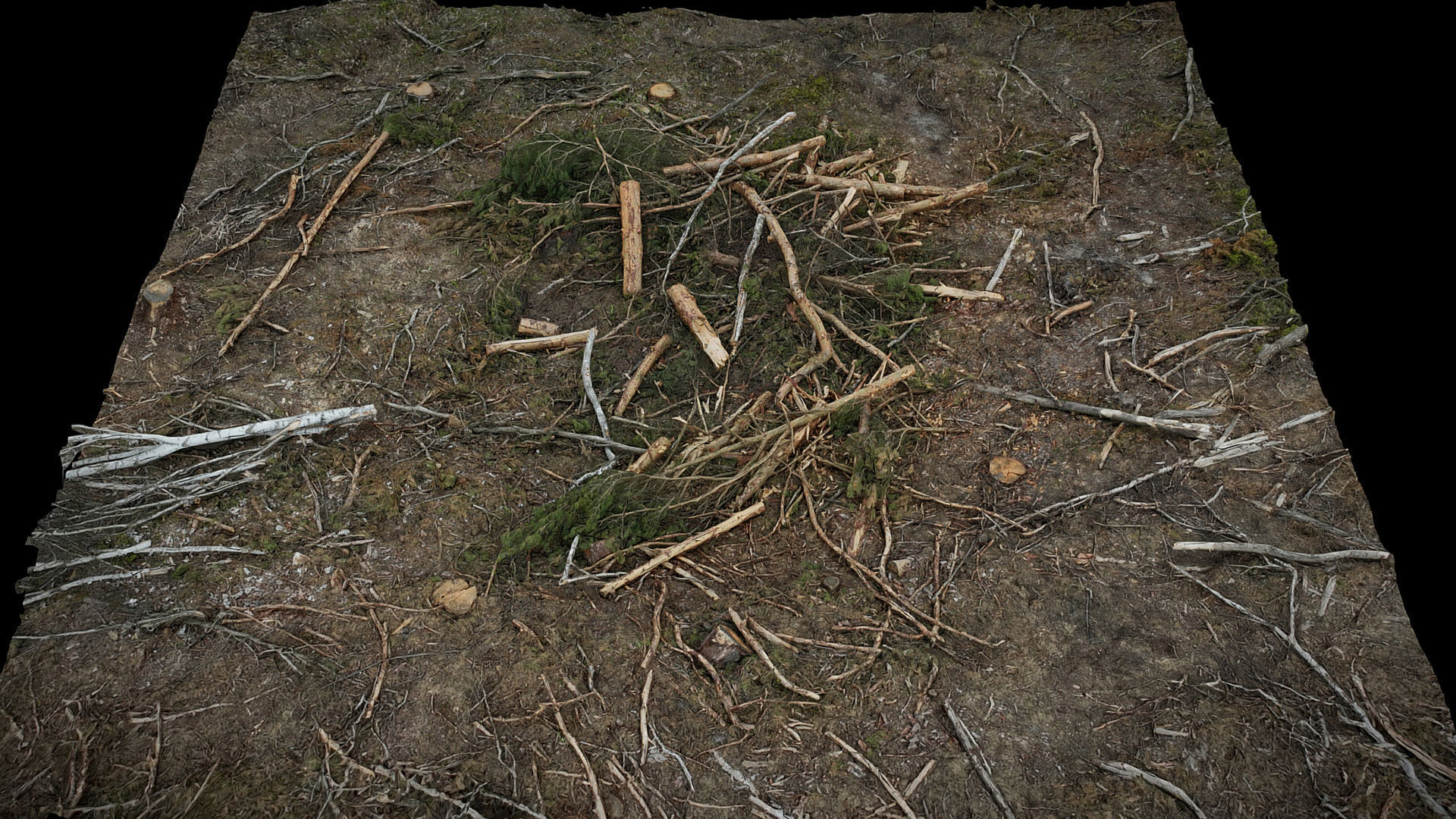 forest ground wood debris branches photogrammetry Low-poly 3D model_2