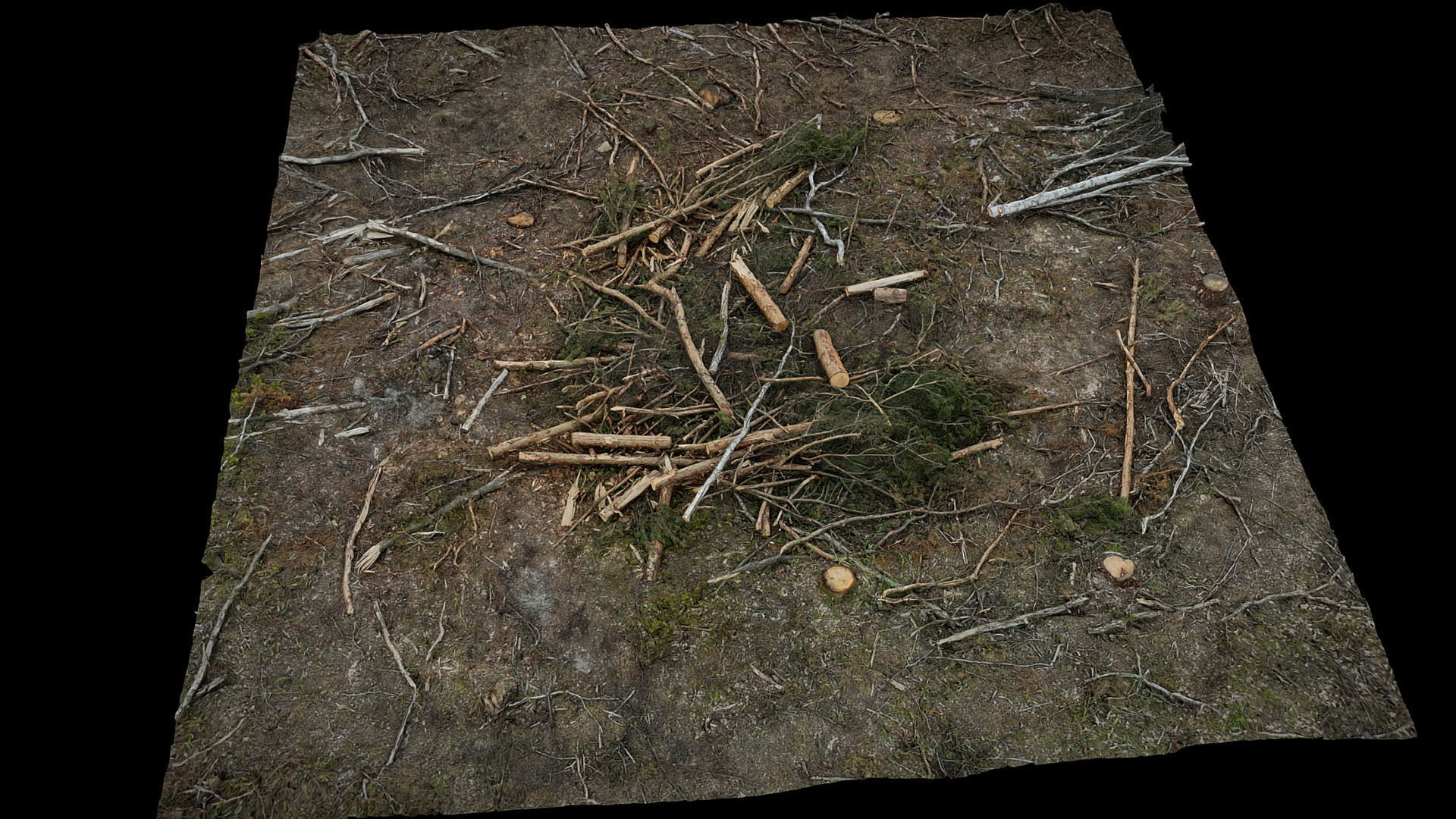 forest ground wood debris branches photogrammetry Low-poly 3D model_3