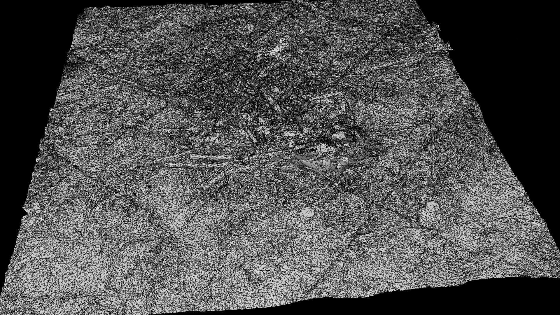 forest ground wood debris branches photogrammetry Low-poly 3D model_5