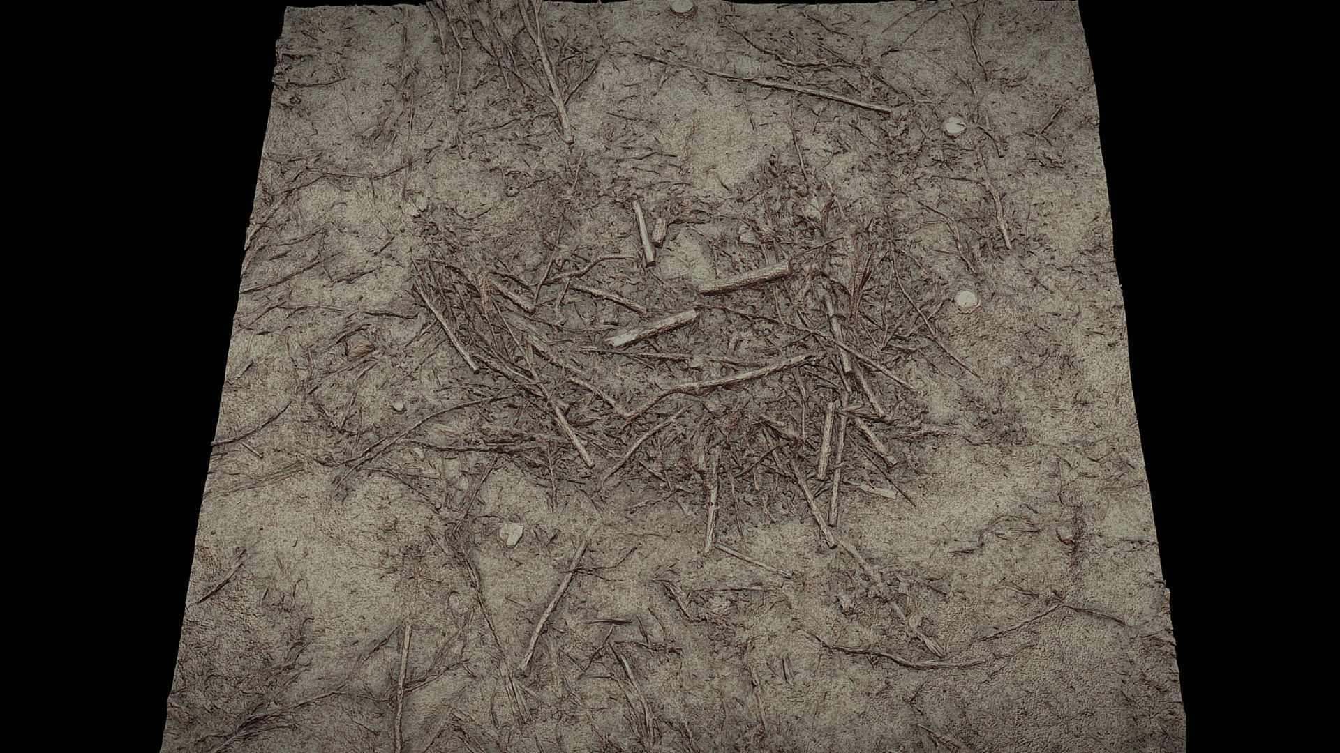 forest ground wood debris branches photogrammetry Low-poly 3D model_4