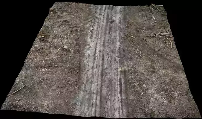 forest sandy road ground debris photogrammetry