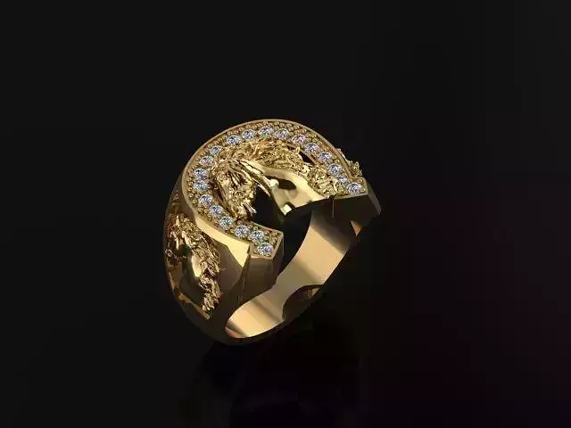 Horse ring