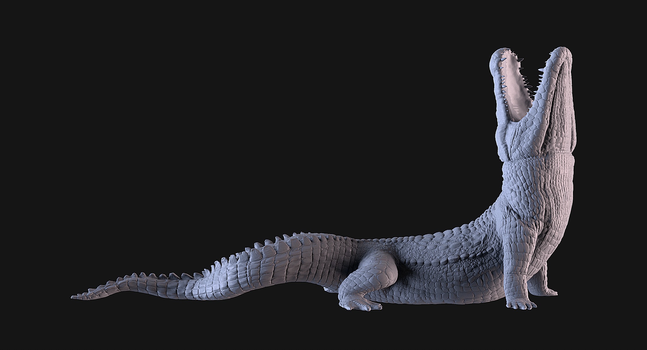 Crocodile 3D print model_3
