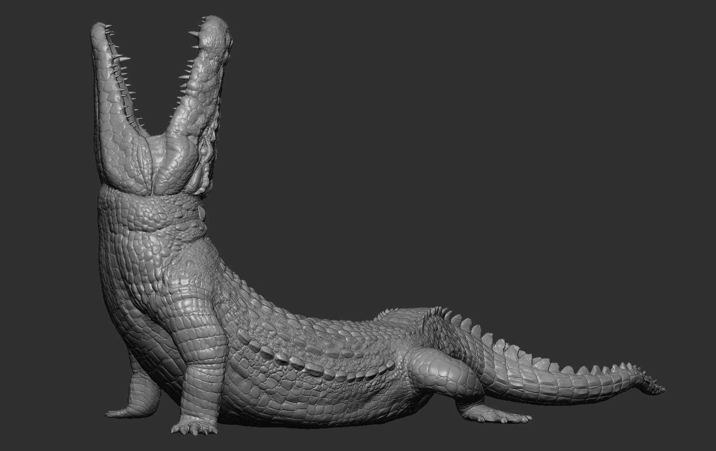 Crocodile 3D print model_10