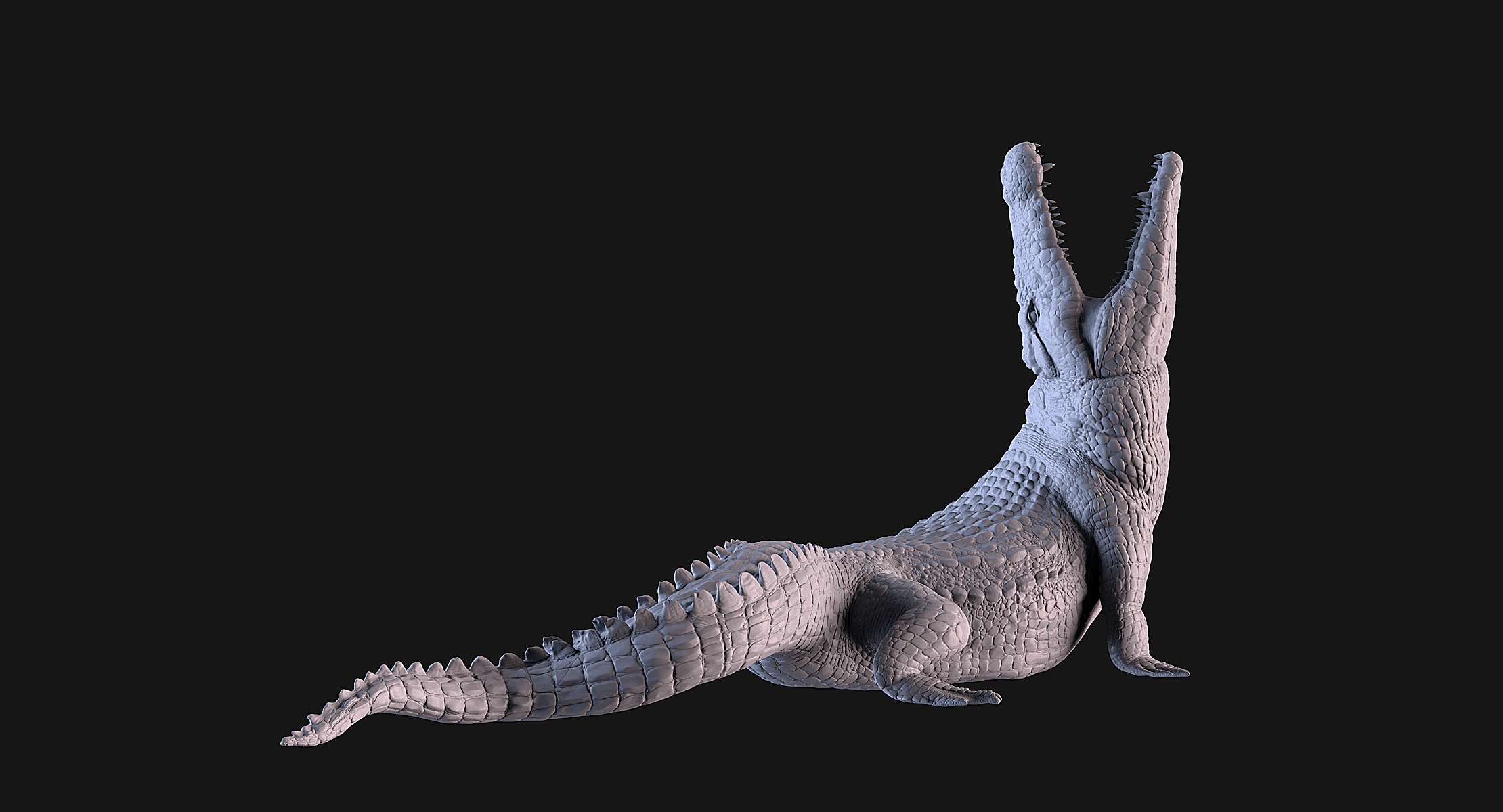 Crocodile 3D print model_4
