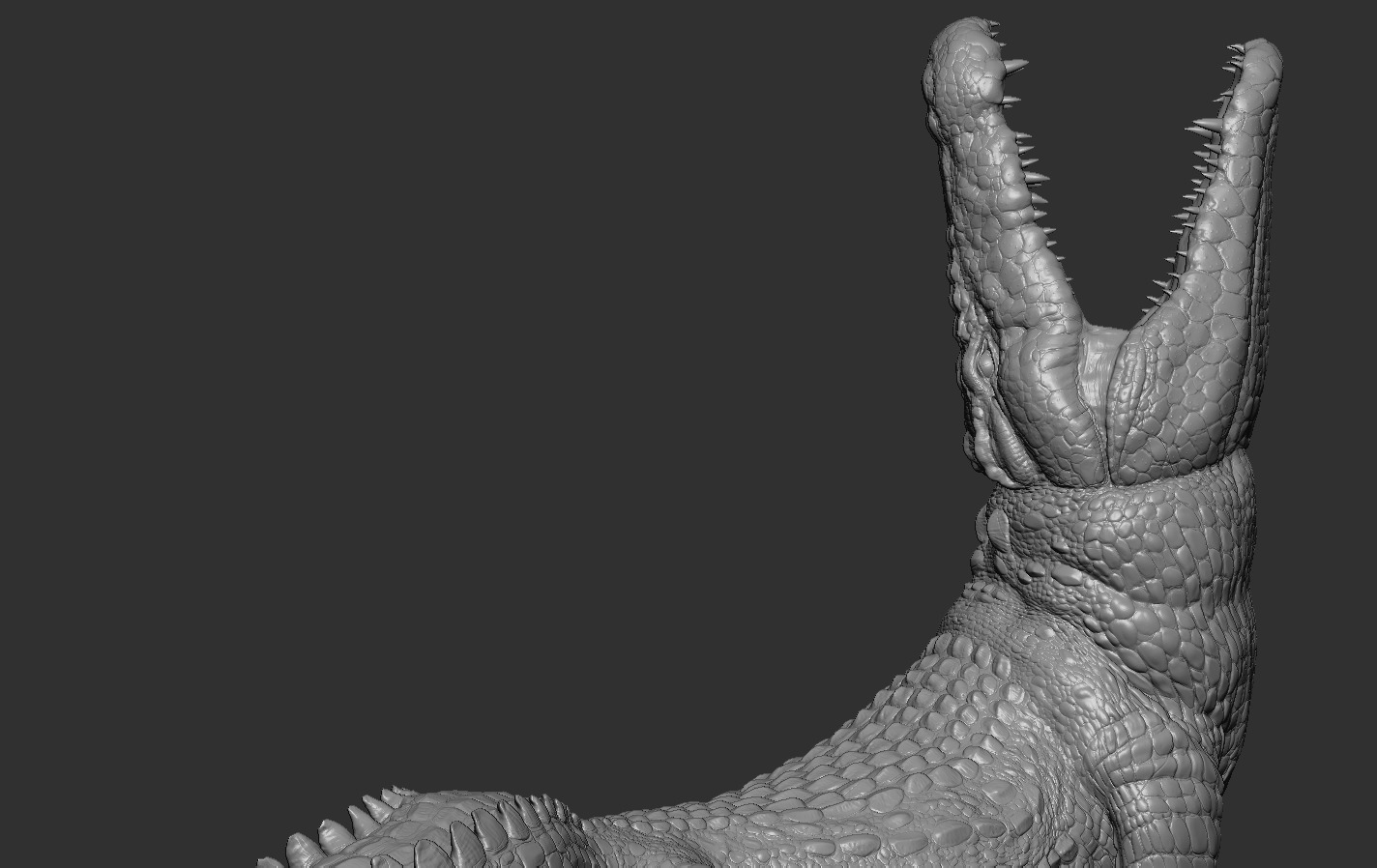 Crocodile 3D print model_15
