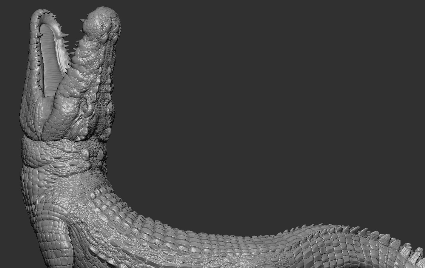 Crocodile 3D print model_16