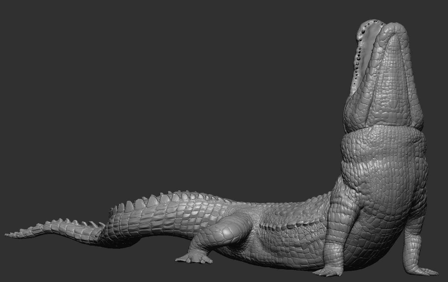 Crocodile 3D print model_11