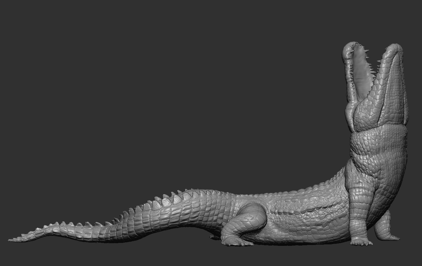 Crocodile 3D print model_12