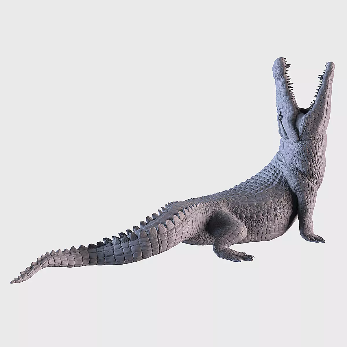 Crocodile 3D print model_0