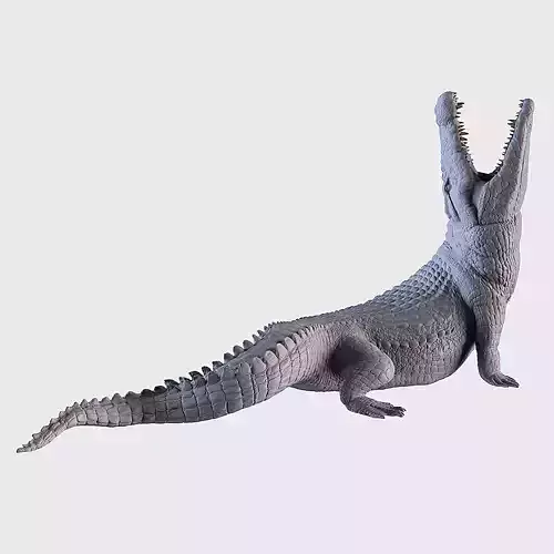 Crocodile 3D print model