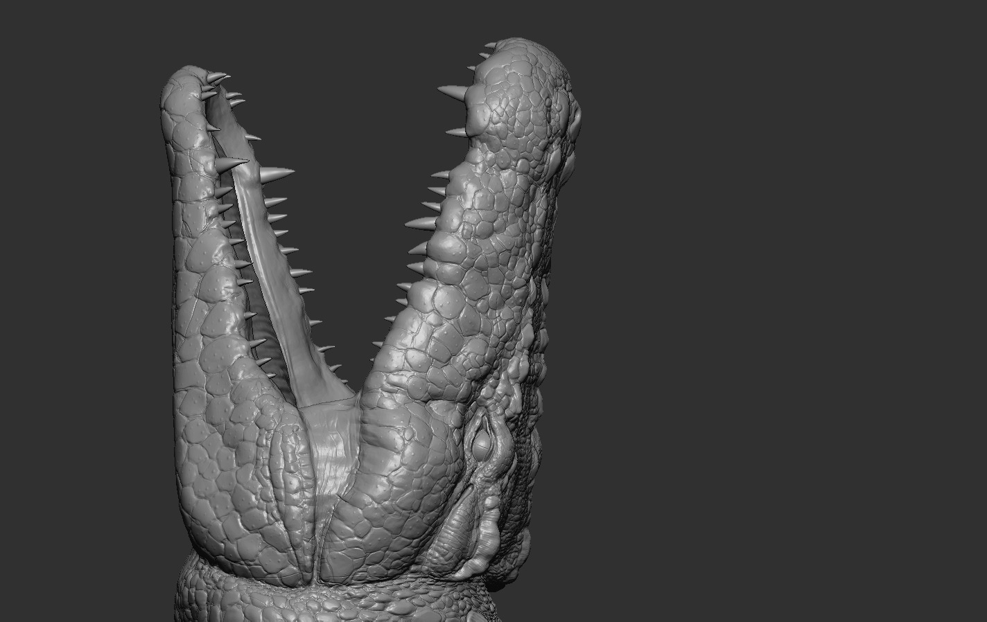 Crocodile 3D print model_17