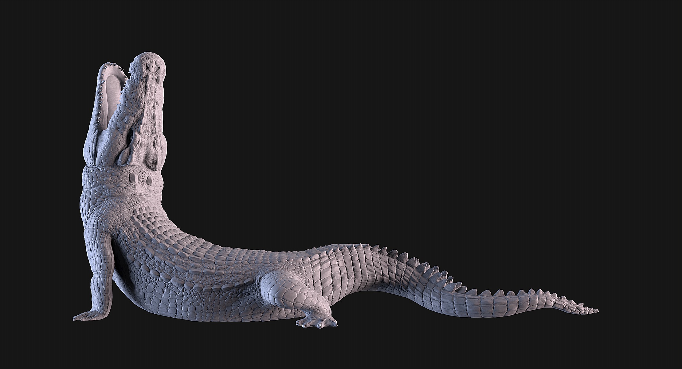 Crocodile 3D print model_7