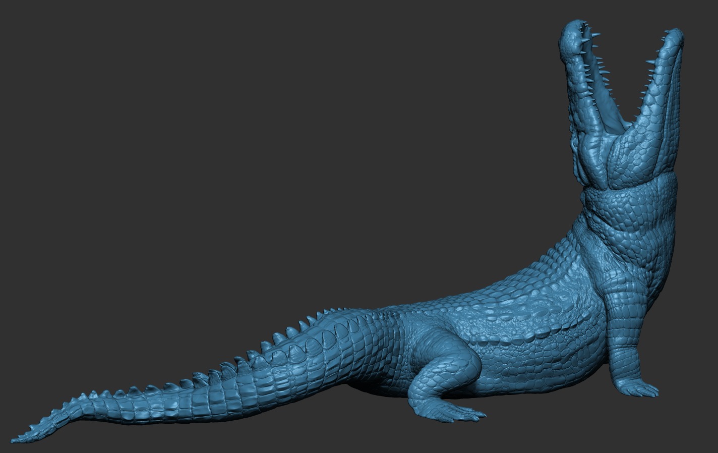 Crocodile 3D print model_19