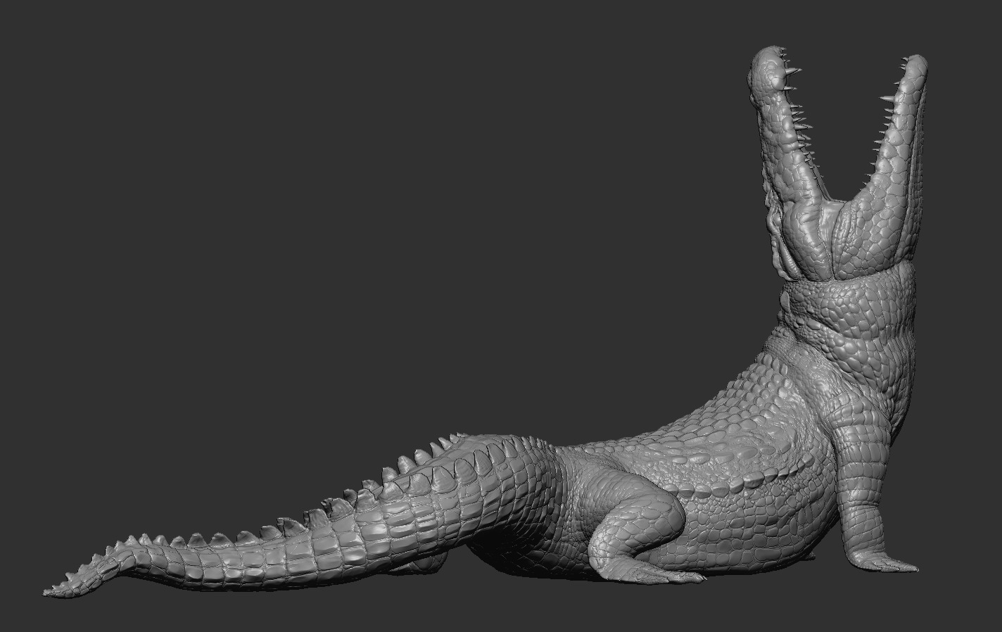 Crocodile 3D print model_13